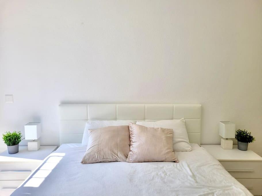Apartment Palma - Central & Cozy With Free Private Parking Lugano Exterior foto
